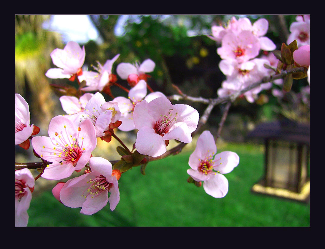Spring is a Comin' by almostAMAZING