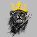 No King by Design-By-Humans