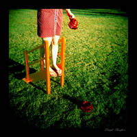 tea on the grass by lloydhughes