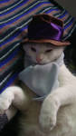 Rorschach Cat by HappilyDeluded889