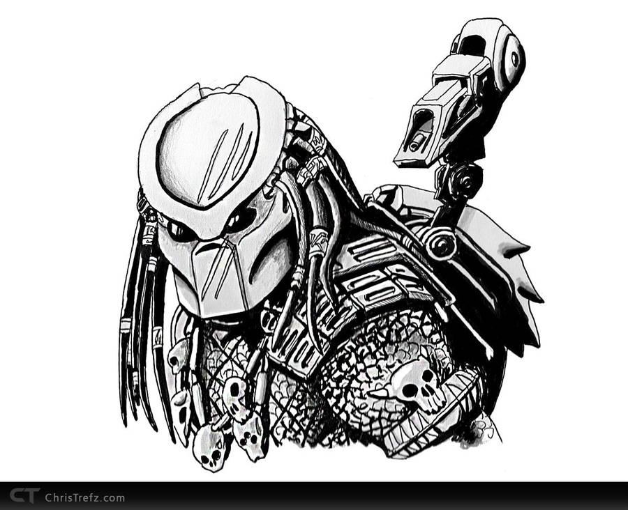 Predator Sketch by chris-illustrator