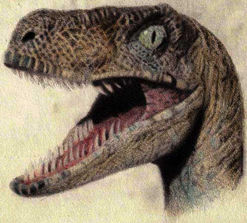 Age-12 Raptor by L-Spiro