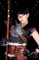 Dragon Age 2 - Hawke by Lesciel