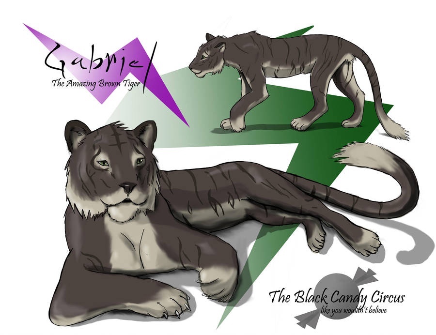 Gabriel the brown Tiger by Jeremy-Burner