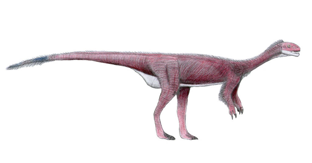 Chilesaurus diegosuarezi by LeviBernardo13