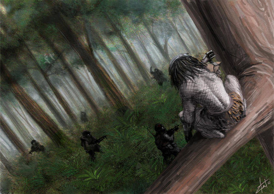 Someone else's territory by Zlatolin