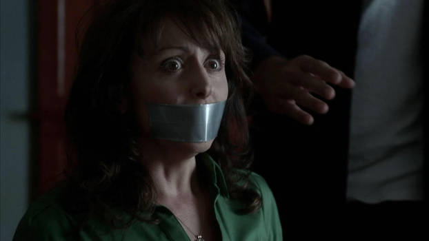 Duct Taped Mouths on TV Vol 11 by duckducttape