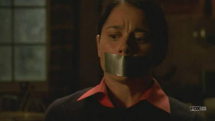 Duct Taped Mouths on TV Vol 18 by duckducttape
