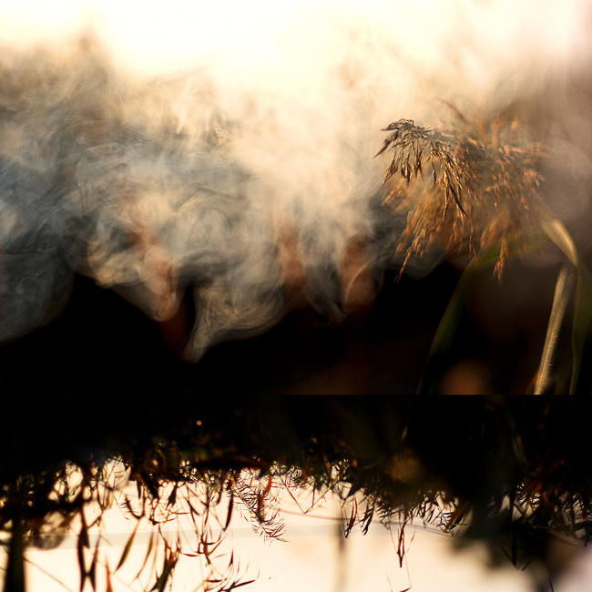 you might b a ghost.yesterdays by neonihil