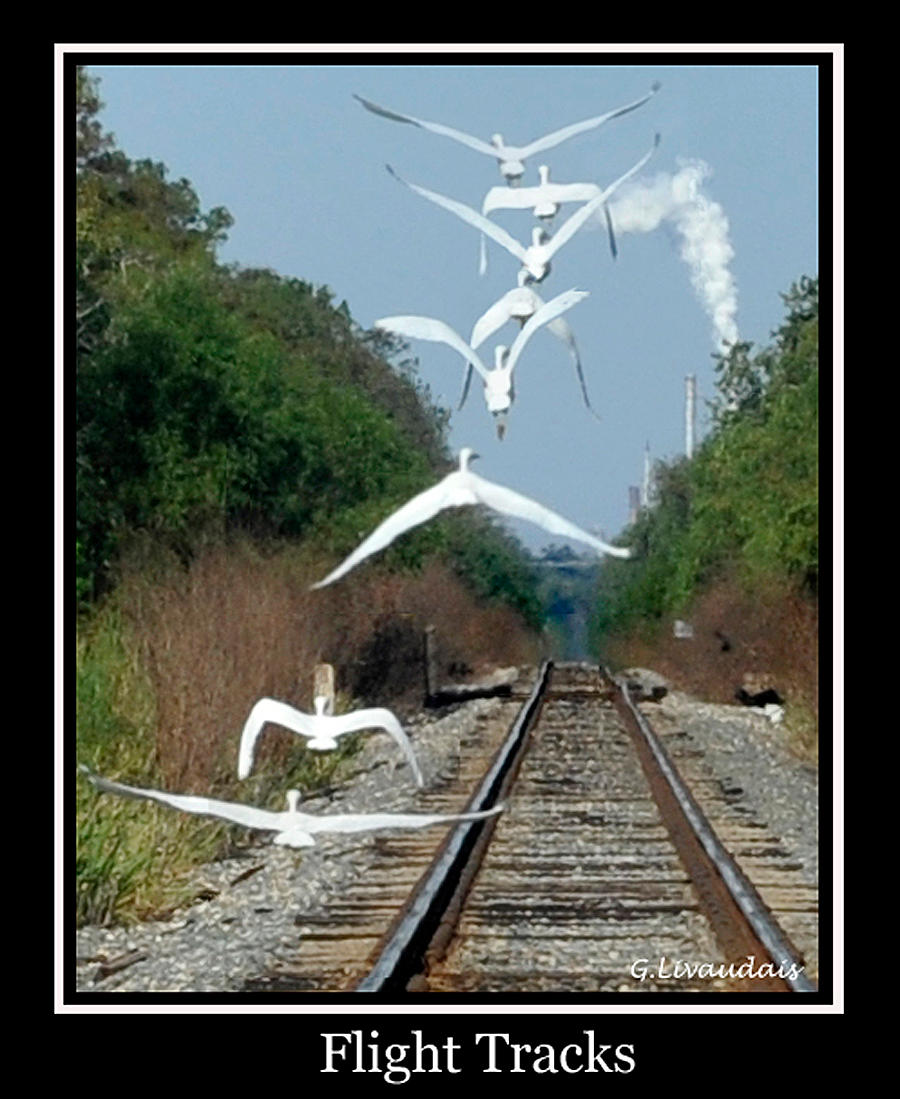 Flight Tracks by Kicks02