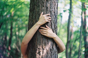 embraces by zhenianja