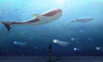 Aquarium by ngocthanh1103