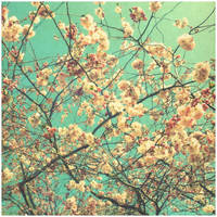 en Allemagne by anninops