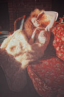 184 by aydan-kerimli