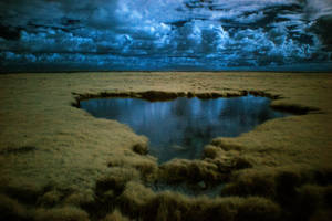 Infrared by Bornhold