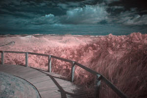 Infrared by Bornhold