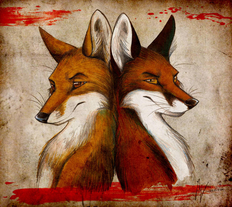 Fox and Fox by Culpeo-Fox