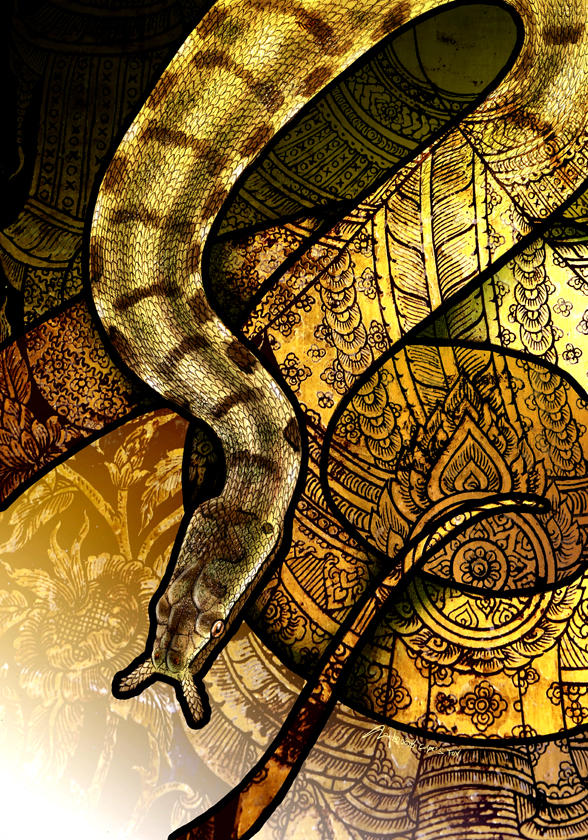 Tentacled Snake by Culpeo-Fox