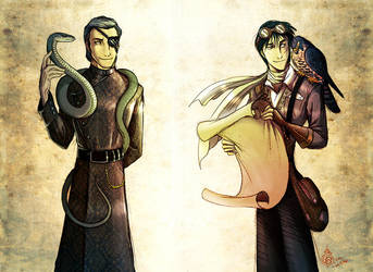 Dark Materials by Culpeo-Fox