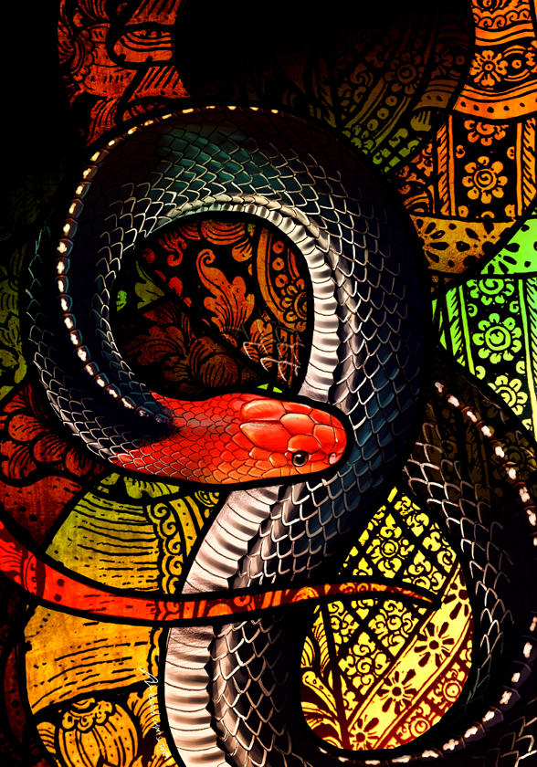 Red-Headed Krait by Culpeo-Fox