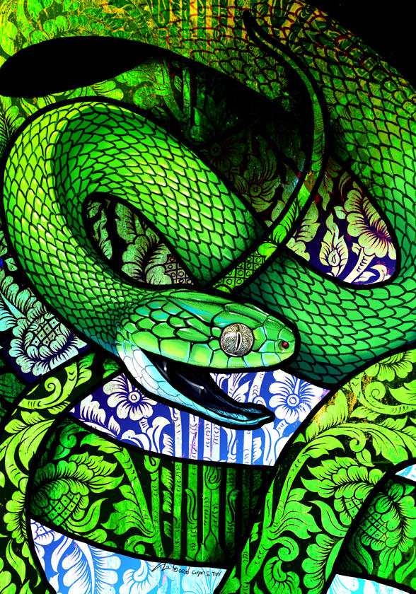 Green Cat Snake by Culpeo-Fox