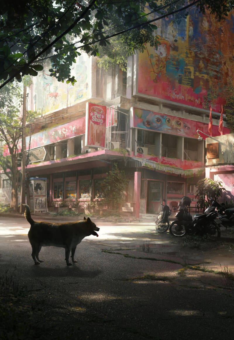 Doge by JonasDeRo
