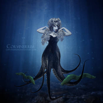 Poor Unfortunate Souls by Corvinerium