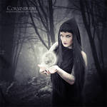 Secrets Of Witches by Corvinerium