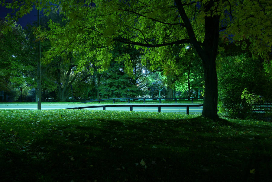 Everything's gone green by MrProsser42