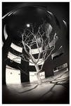 Moon Tree by paikan07