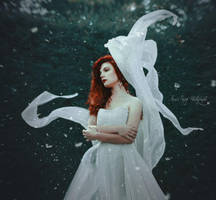 Snowflakes fall by anaispopy