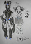 Panda hero by RadioactiveRays
