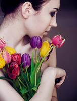 Tulip II by ymefreak