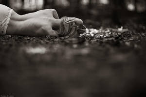 silently by StefanBeutler