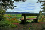View From the Forest by Violet-Kleinert