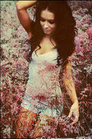 Sanctuary by juliadavis