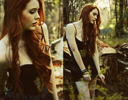 The woods are burning by juliadavis