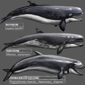 Prehistoric whale by KookaburraSurvivor