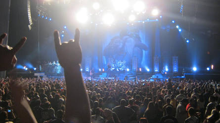 throw up ur rock fist Throw up ur rock fist