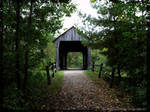 Slate Run covered Bridge by howardtj43147