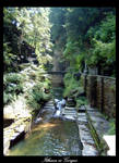 Ithaca is Gorges by powdernine