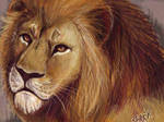 Oekaki...Lion by guardianofire