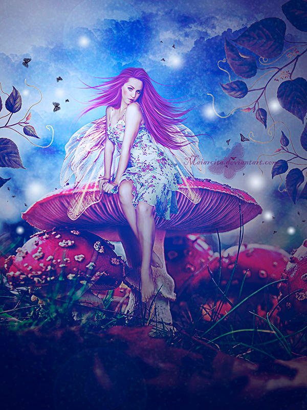 Mushrooms by maiarcita Mushrooms by maiarcita