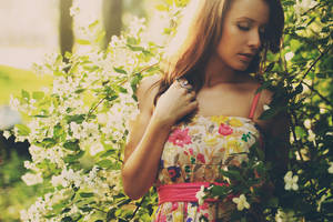 warm dreams by zznzz