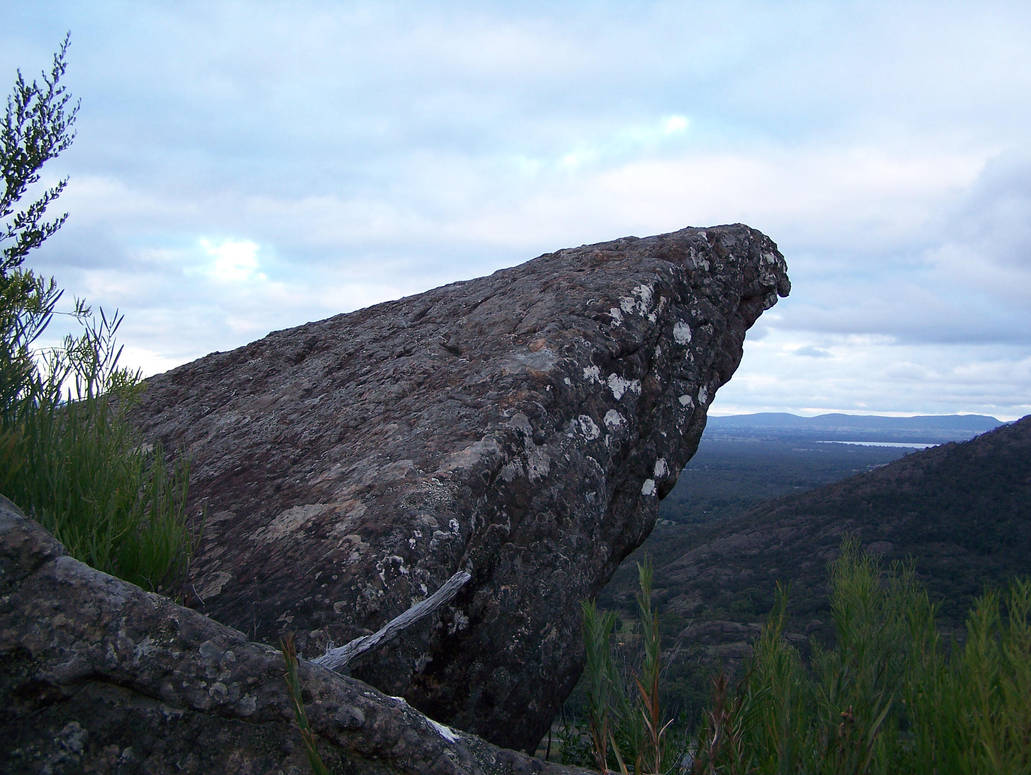 forest cliff stock 4