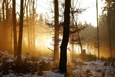 Like Gods of the sun by Setril