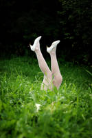 Upside-down by imallergictoyou