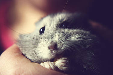 -Her- Breakfast by maximumrach