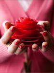Be my Valentine by Katari01