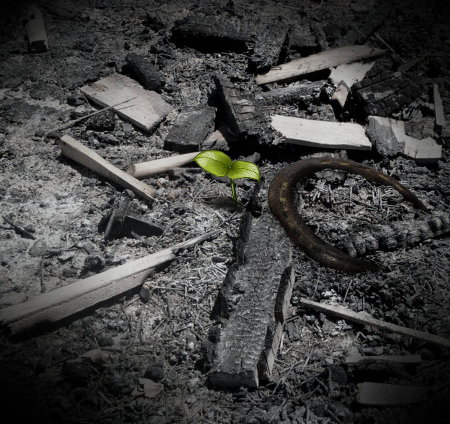 Ashes to Ashes by decors